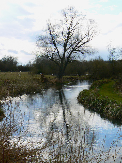 la riviere Kennet pres de Axford