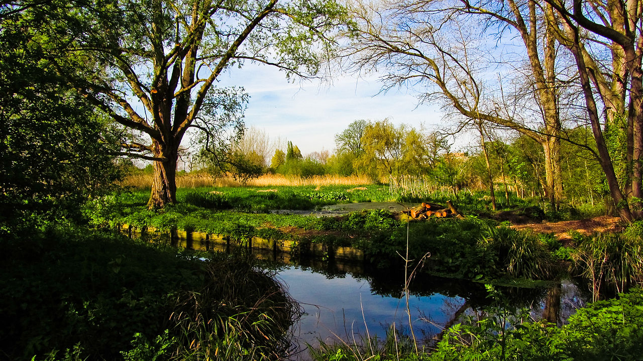 Morden Hall Park wandle riviere
